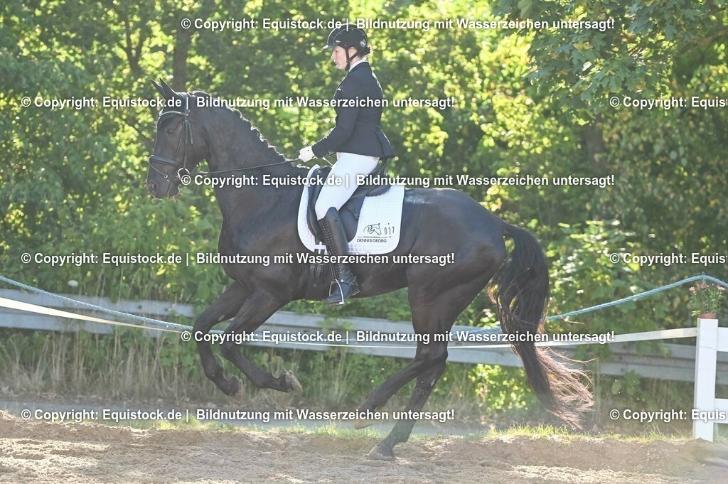 20230715_06_Dressurpferdeprfg. Kl.A_0024 | equistock