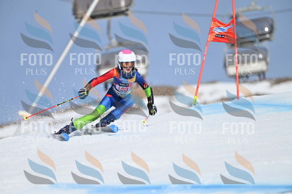 BGV_9853 | holidayphoto