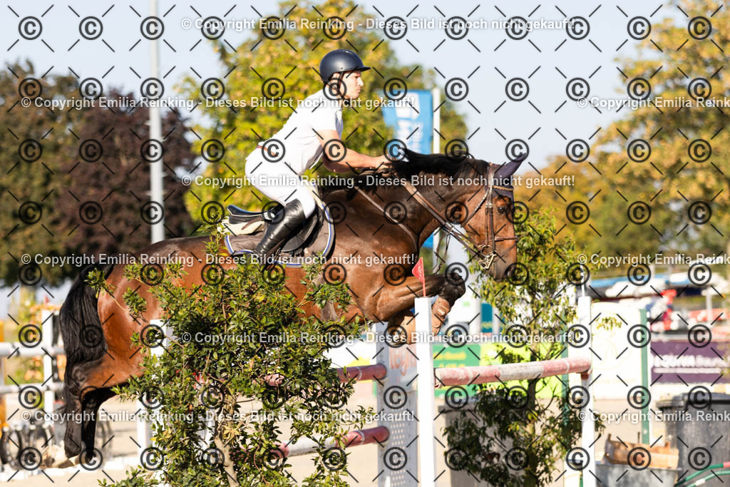 CL5A7008 | Emilia Reinking Fotografie - Realisiert mit Pictrs.com