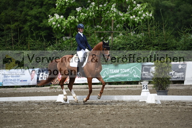 DSC_0991 | equestrian-live-com