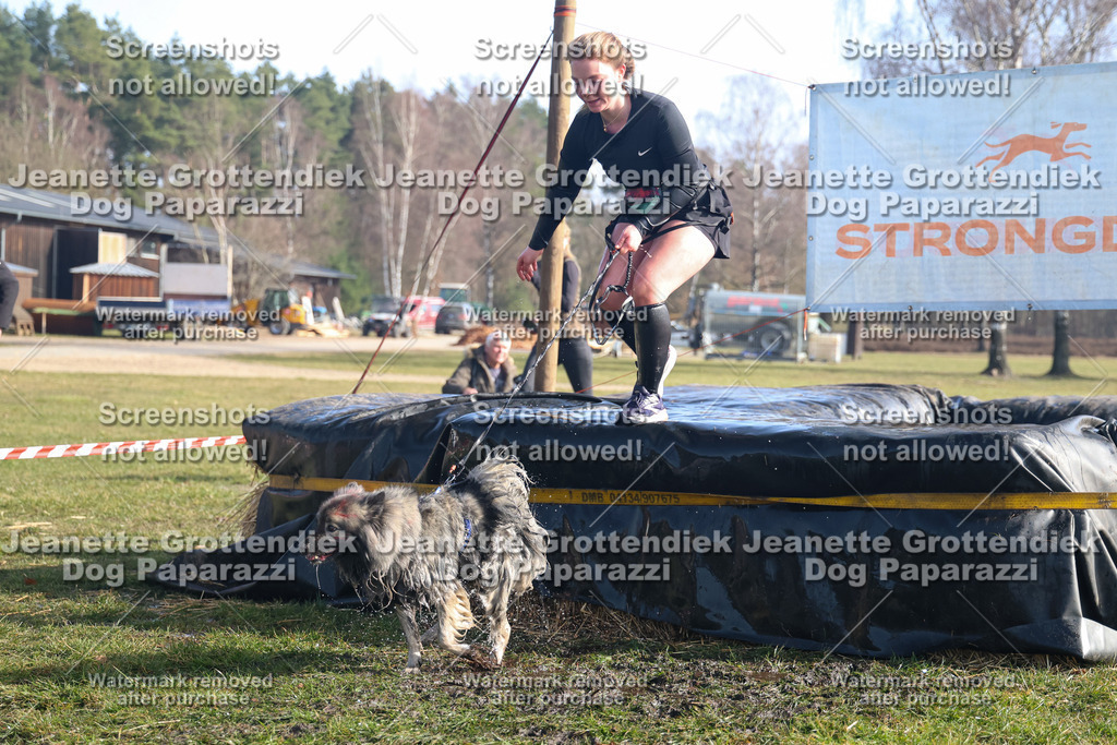 Dog Paparazzi - Strongdog North Mrz26-1206 | Dog Paparazzi Jeanette Grottendiek Fotografie & Videografie - Realisiert mit Pictrs.com