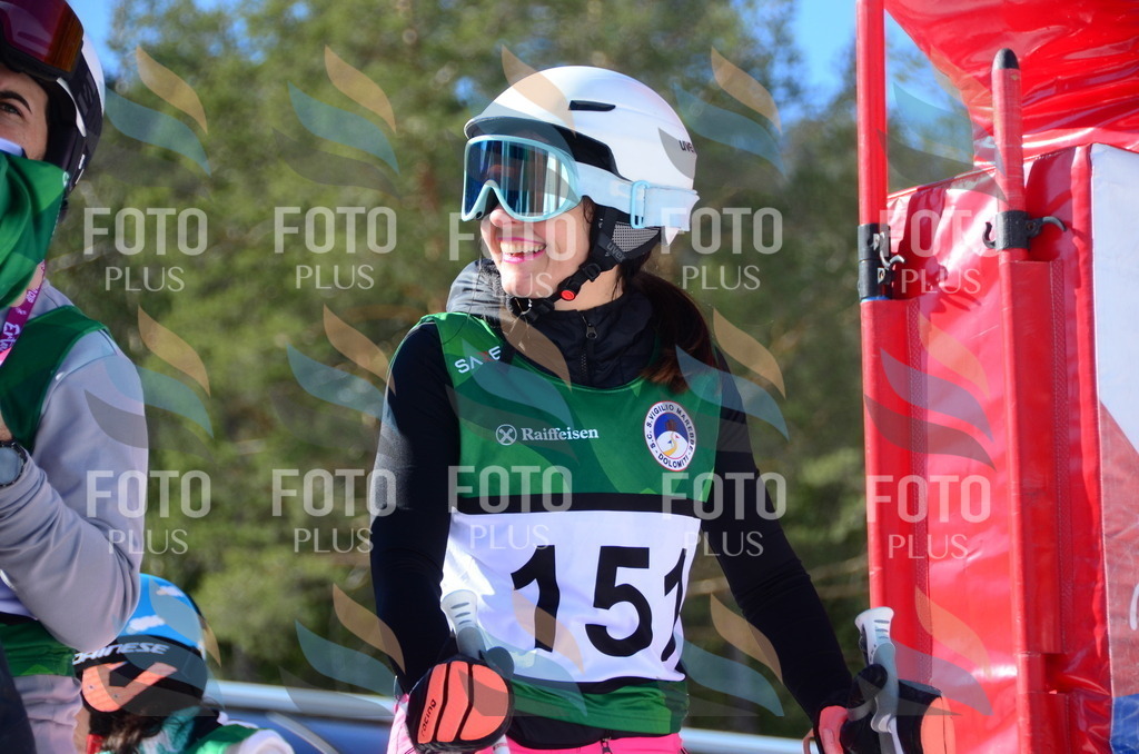 C6130 | holidayphoto