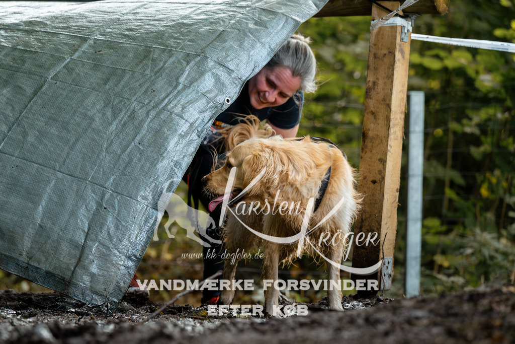 1416DZ6_1457Z6 | kk-dogfotos