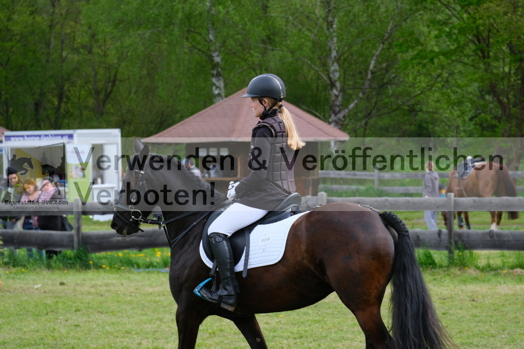 DSCF4145 | equestrian-live-com