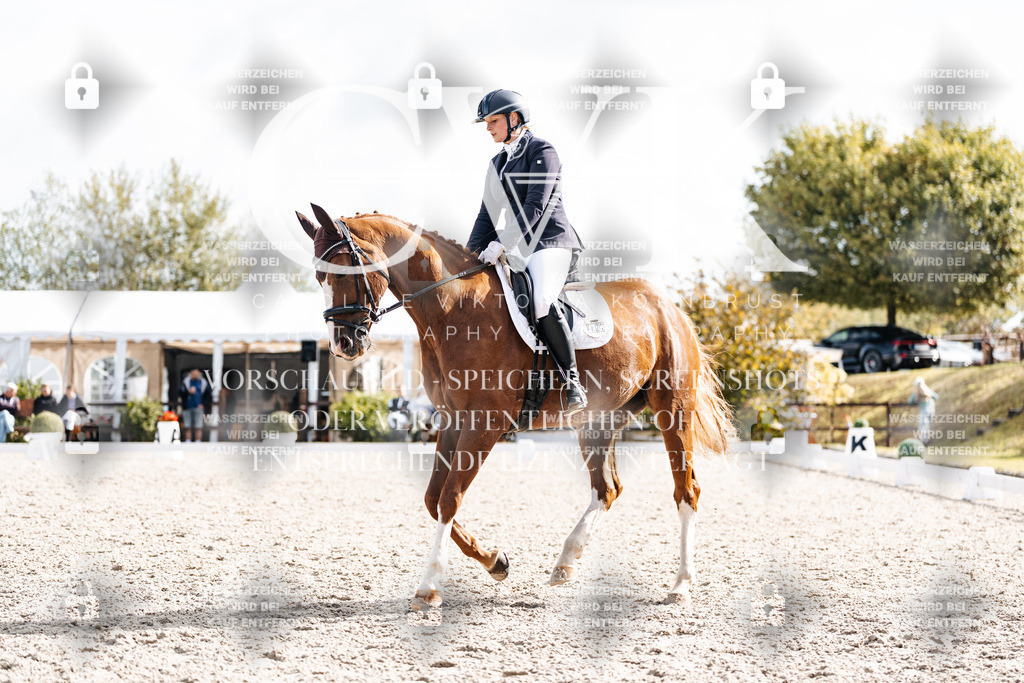 CK901864 | Turnierfotografie Pferdefotografie Trier Rheinland-Pfalz Pferdesport Reitsport Tierfotografie Sportfotografie Pferdevideo Pferdevideografie Equestrianvideography equestrianphotography  - Realisiert mit Pictrs.com