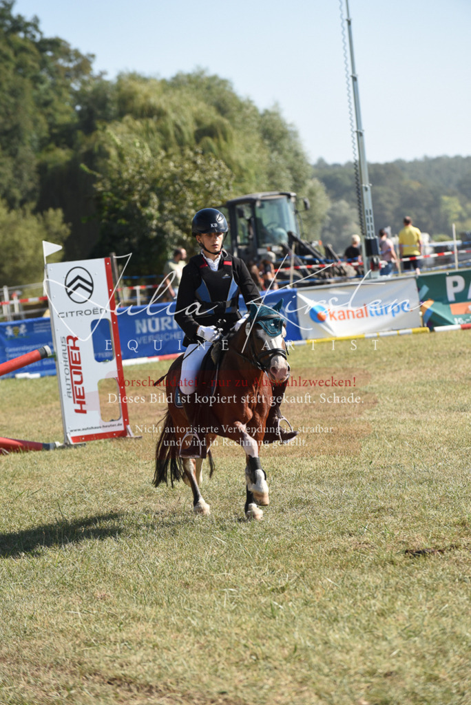 DSC_5938 | Pferde- und Turnierfotografie in Westsachsen. Pferdeportraits, Auftragszeichnungen und intuitive Kunst.