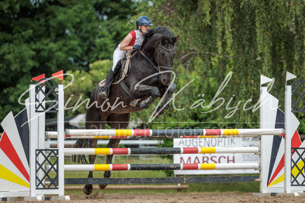20260530-_3LI2430 | Tierfotografie Pferde, Hunde, Katzen, Haustiere.
Turnierfotografie Reitturniere, Reiten, Springreiten, Dressur in Hanau, dem Main-Kinzig-Kreis und dem Rhein-Main- Gebiet um Frankfurt