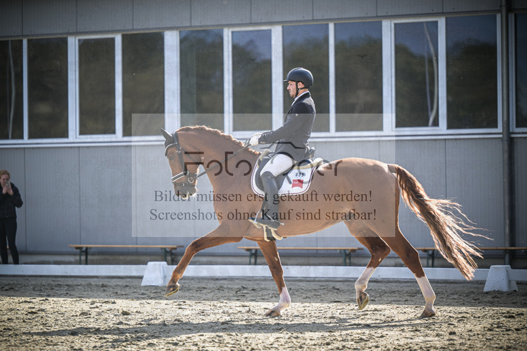 DOS_0644 | Entdecke hochwertige Reitturnierfotos von Foto Oger. Professionell, emotional und authentisch – jetzt Lieblingsmomente im Shop bestellen.Deutschlandweite Turnierfotografie. - Realisiert mit Pictrs.com