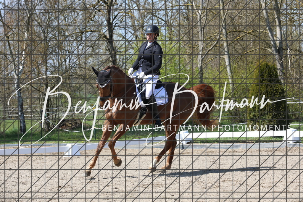 AZ2A5288 | Benjamin Bartmann Photomoments