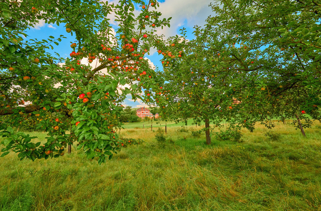 Im Sinntal 02 | Fotos als Raumschmuck - Realisiert mit Pictrs.com