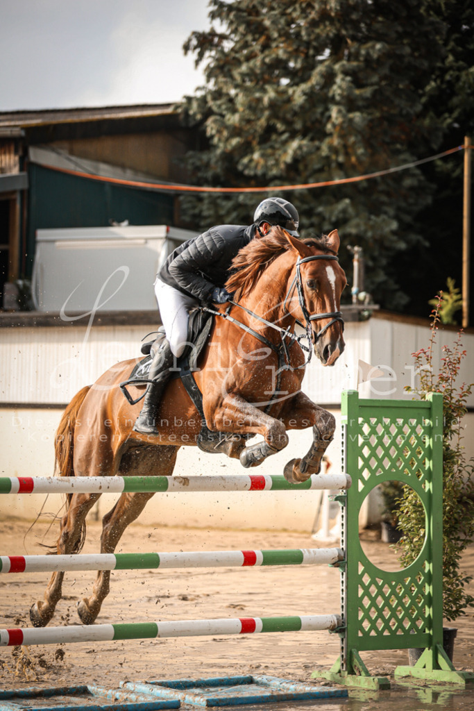 05.FrSpM100142 | Leoni Ertmer Photography - Realisiert mit Pictrs.com