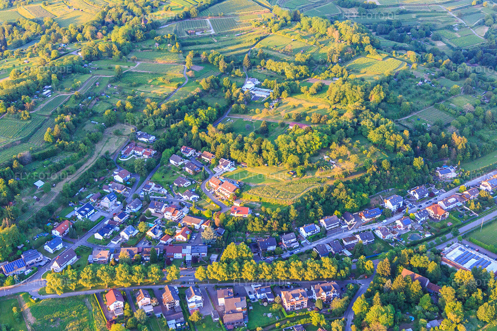 Luftbild: Im Häldele in Kippenheim im Bundesland Baden-Württemberg in Deutschland. Foto: IMG_147998.jpg vom 30.05.2025 durch Werner Riehm/FLY-FOTO.de