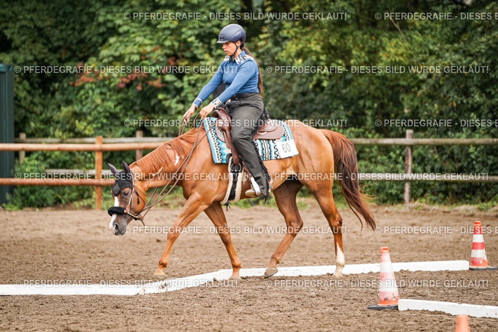 DSC04400 | Pferdegrafie