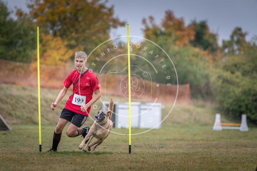 Pfotenfotografie_DV3A1185 | Hundefotografie, Tierfotograf, Pfotenfotografie, Fotoshooting Hund, Hunde Portrait, Hundesport, Hundeportraits, Heideshooting, Hunde, Sportfotograf, Hundefotograf, Turnierhundsport, THS,  - Realisiert mit Pictrs.com