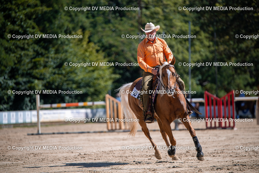 ZS1_0965 | dv-media-shop - Realisiert mit Pictrs.com