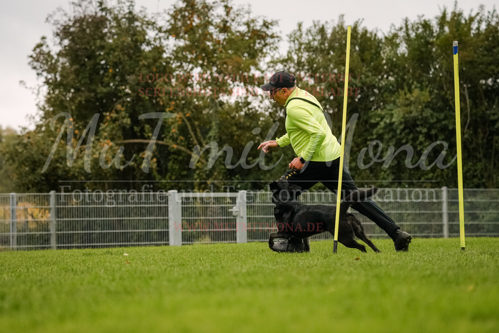 20251005_THS_Turnier-454 | MuT (Mensch und Tier) mit Mona - Fotografie und Tierkommunikation - Realisiert mit Pictrs.com