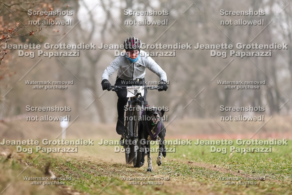 Dog Paparazzi - Plate 2026-26 | Dog Paparazzi Jeanette Grottendiek Fotografie & Videografie - Realisiert mit Pictrs.com