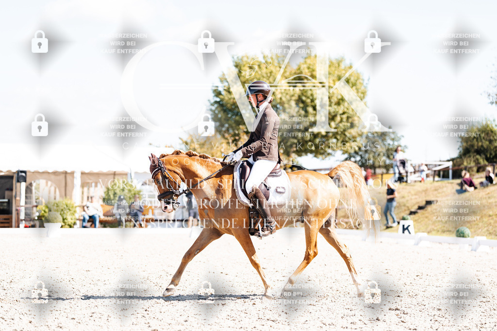 CK903746 | Turnierfotografie Pferdefotografie Trier Rheinland-Pfalz Pferdesport Reitsport Tierfotografie Sportfotografie Pferdevideo Pferdevideografie Equestrianvideography equestrianphotography  - Realisiert mit Pictrs.com