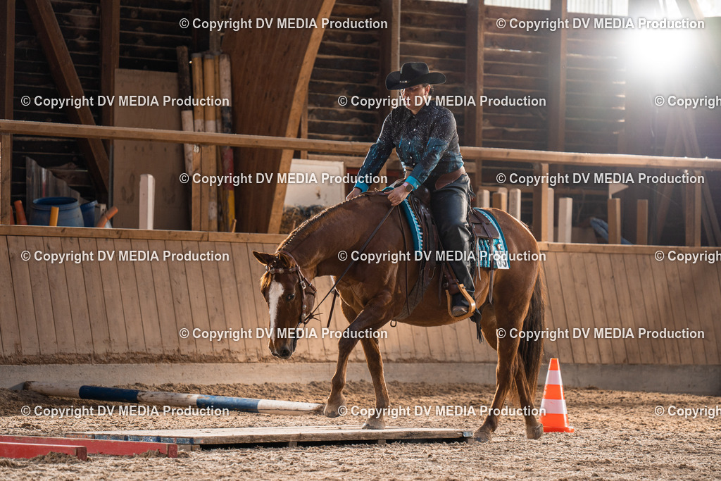 Heidelberg Tag 2-100 | dv-media-shop - Realisiert mit Pictrs.com