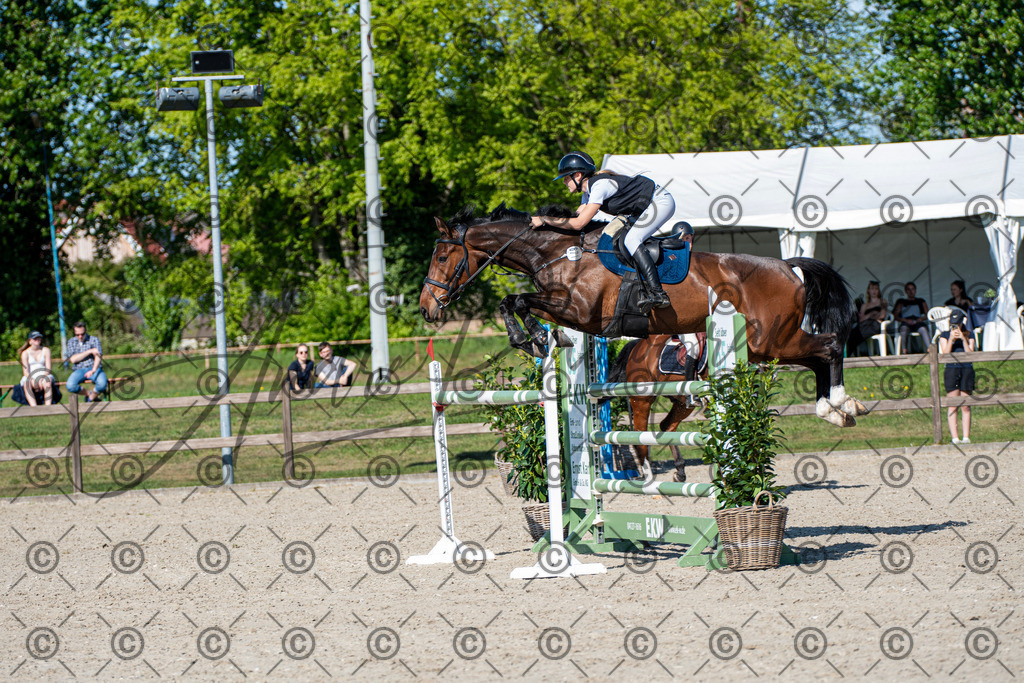 KPT_1804 | andre_photographic