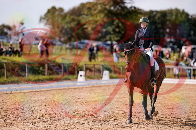 2026_10_03_Siefer-Hof_130121_Z81_53287469 | Professionelle Reitsport-, Turnier- und Eventfotografie von Robert Broda. Galerien mit ausgewählten und bearbeiteten Bildern direkt online ansehen und bestellen.