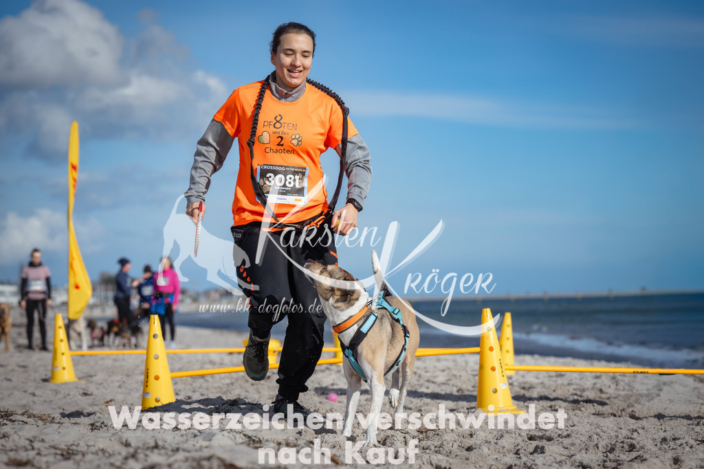 1340_ZZ92680 | kk-dogfotos