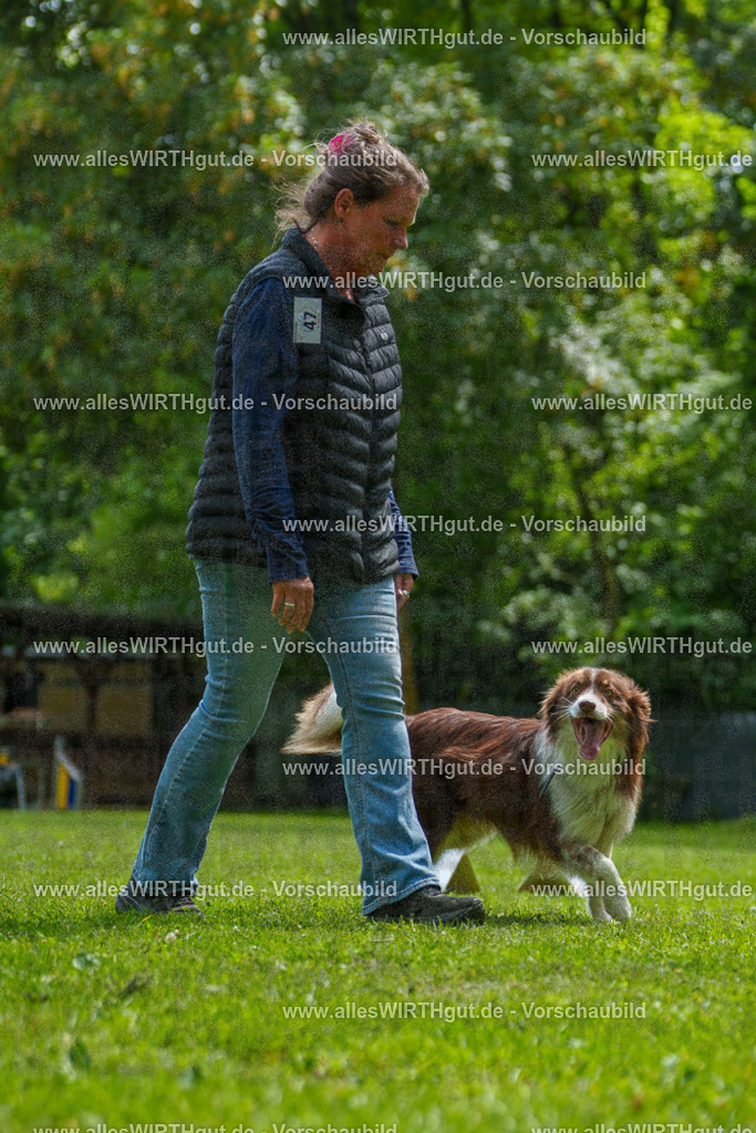 @allesWIRTHgut_Tierfotografie - www.allesWIRTHgut.de - 7R505433 | Professionelle Tierfotografie in Mönchengladbach von Daniel Wirth (allesWIRTHgut). Liebevolle & natürliche Bilder von Hunden & Katzen für unvergessliche Erinnerungen.