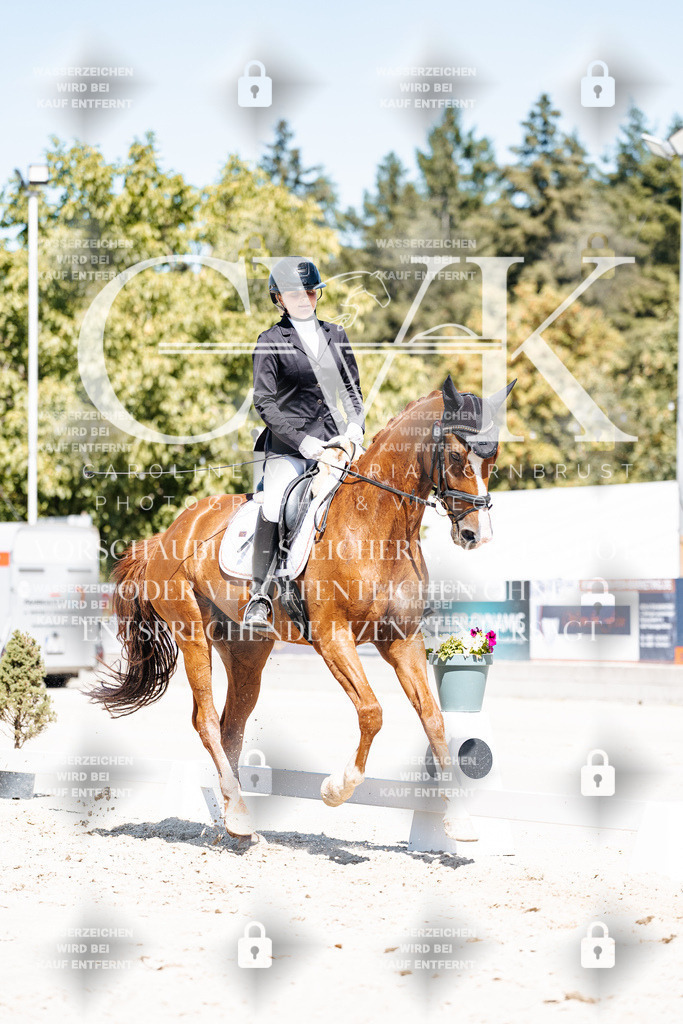 CK900436 | Turnierfotografie Pferdefotografie Trier Rheinland-Pfalz Pferdesport Reitsport Tierfotografie Sportfotografie Pferdevideo Pferdevideografie Equestrianvideography equestrianphotography  - Realisiert mit Pictrs.com