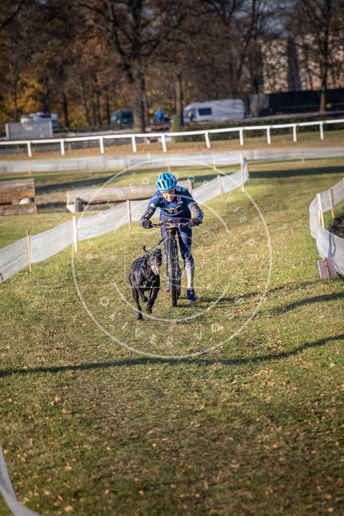CaniXpix_DV3A1986 | Hundefotografie, Tierfotograf, Pfotenfotografie, Fotoshooting Hund, Hunde Portrait, Hundesport, Hundeportraits, Heideshooting, Hunde, Sportfotograf, Hundefotograf, Turnierhundsport, THS,  - Realisiert mit Pictrs.com