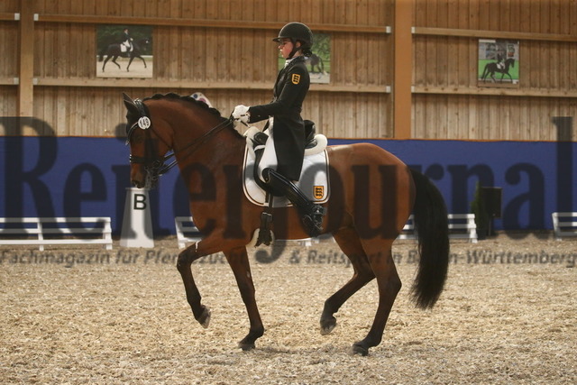 Turnier_Zeutern_2022_Prfg.Nr.02_Kurz-GrandPrix_Ann-Kathrin Lachemann_Fransje 3 (38) | Alle Fotos der Reiterjournal Fotografin Doris Matthaes im Reiterjournal Online-Fotoshop. - Realisiert mit Pictrs.com