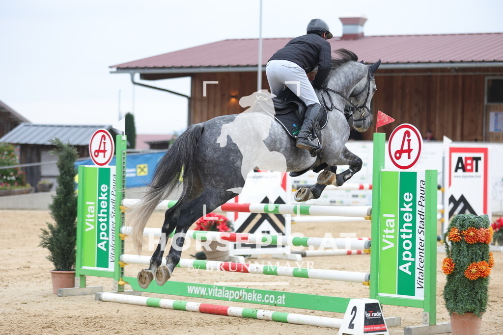 0P6A6556 | Willkommen bei Brunnmayr - Design & Fotografie – Ihrem Spezialisten für Reitturniere und Pferdeveranstaltungen in Oberösterreich, Salzburg und Bayern! Seit über 17 Jahren sind wir leidenschaftlich dabei.