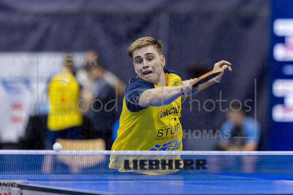 European_Championships_2024-10-18_111 | good-photos - Realisiert mit Pictrs.com