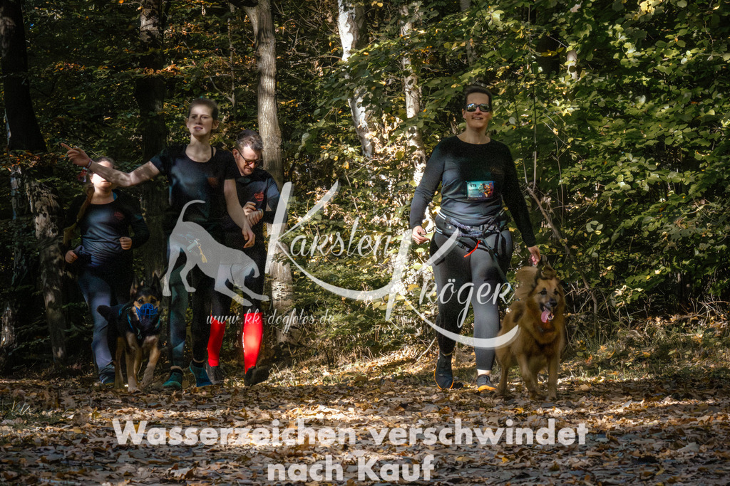 1238_ZZ95764 | kk-dogfotos