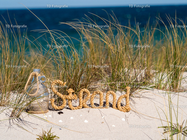 ostesse_natur--3 | OLYMPUS DIGITAL CAMERA - Realisiert mit Pictrs.com