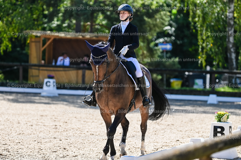 20230908_06_Dressur-L-Trense_0394 | equistock