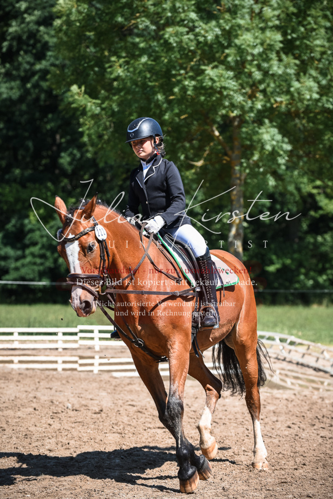 DSC_3442 | Pferde- und Turnierfotografie in Westsachsen. Pferdeportraits, Auftragszeichnungen und intuitive Kunst.