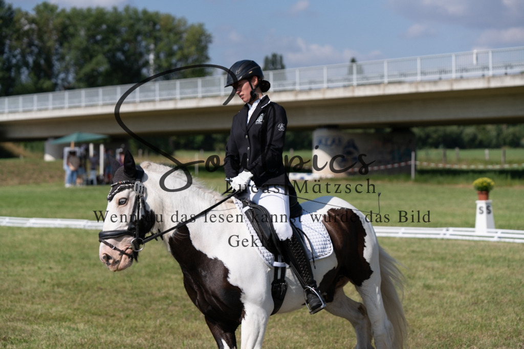 A7V09607 | Pferdefotograf