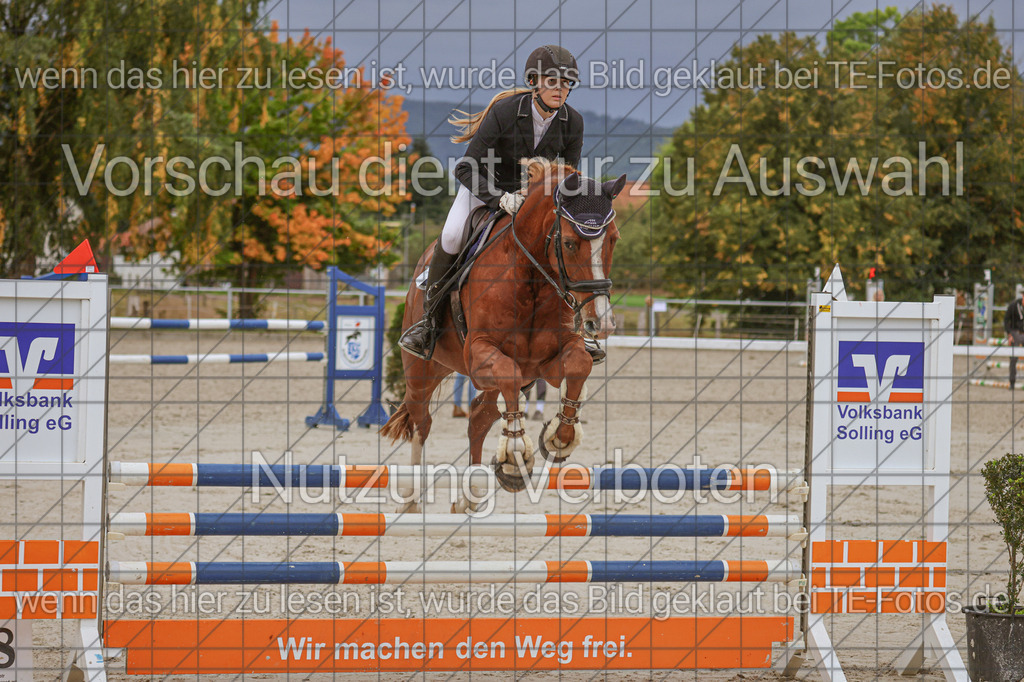 2025-09-22_09-39-16_MG_4121 | TE-Fotos