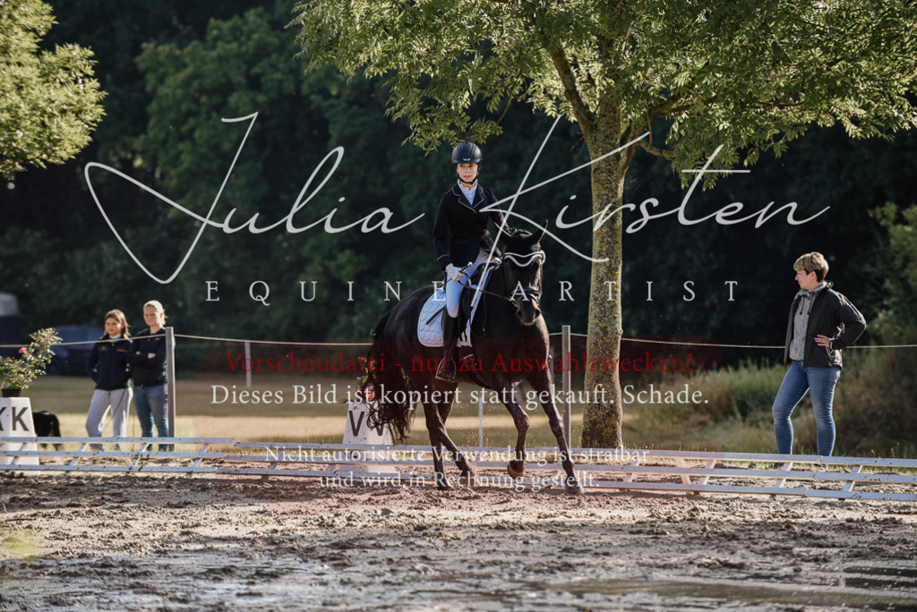 DSC_7840 | Pferde- und Turnierfotografie in Westsachsen. Pferdeportraits, Auftragszeichnungen und intuitive Kunst.