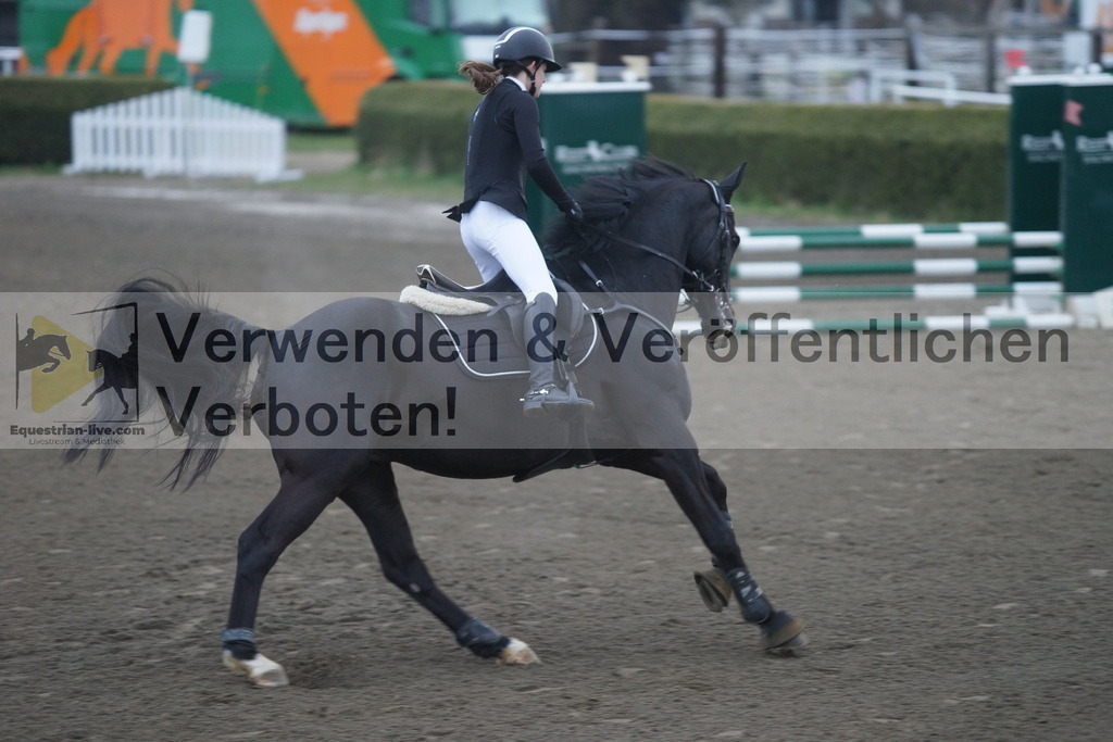 DSC00202 | equestrian-live-com