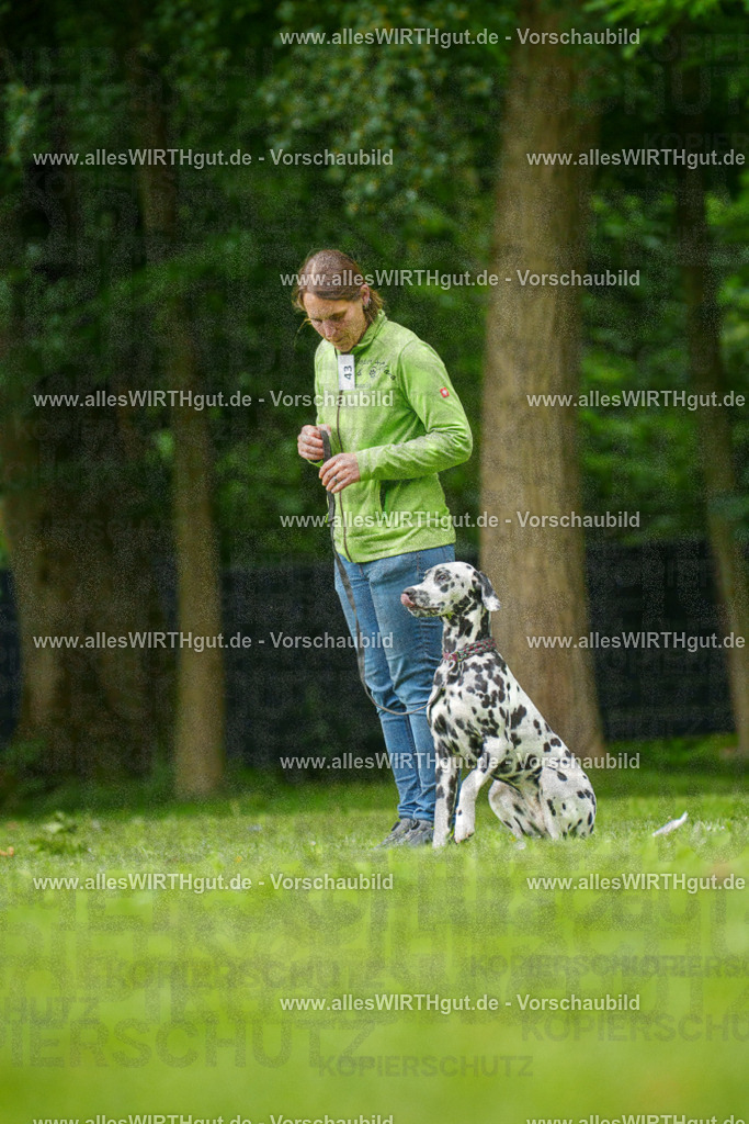 @allesWIRTHgut_Tierfotografie - www.allesWIRTHgut.de - 135042-7R500049 | Professionelle Tierfotografie in Mönchengladbach von Daniel Wirth (allesWIRTHgut). Liebevolle & natürliche Bilder von Hunden & Katzen für unvergessliche Erinnerungen.