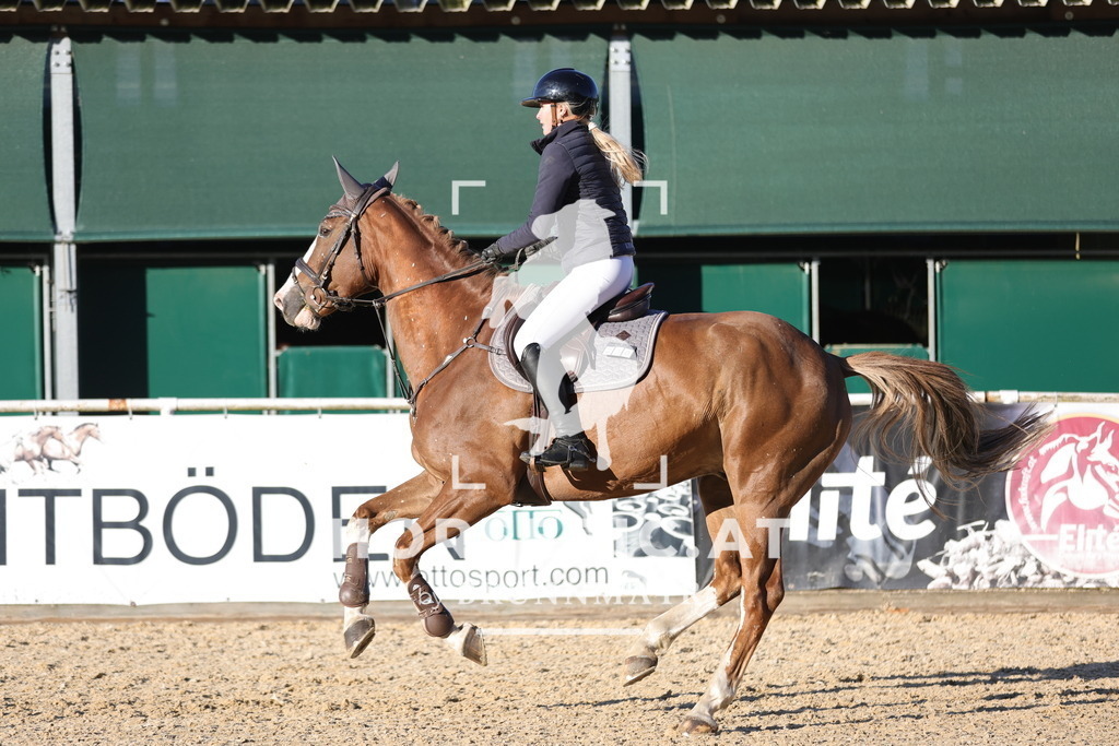 0P6A1961 | Willkommen bei Brunnmayr - Design & Fotografie – Ihrem Spezialisten für Reitturniere und Pferdeveranstaltungen in Oberösterreich, Salzburg und Bayern! Seit über 17 Jahren sind wir leidenschaftlich dabei.