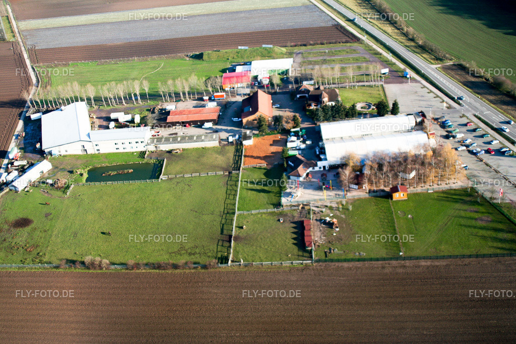 Adamshof | Luftbild: Adamshof in Kandel im Bundesland Rheinland-Pfalz in Deutschland. Foto: IMG_0158.jpg vom 10.12.2005 durch Werner Riehm/FLY-FOTO.de - Realisiert mit Pictrs.com