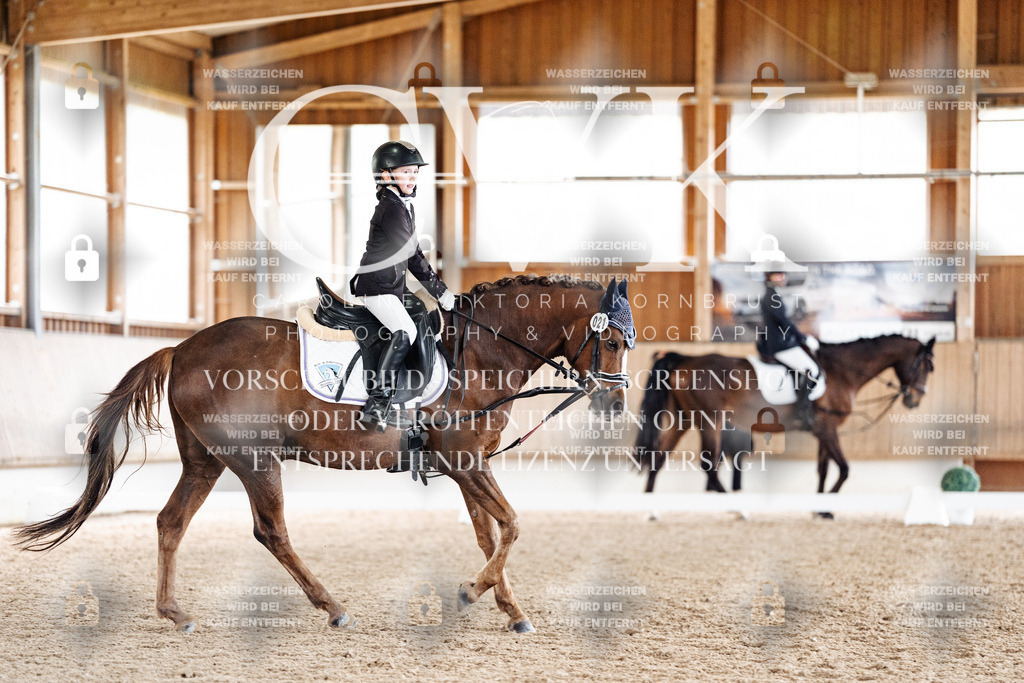 CK901668 | Turnierfotografie Pferdefotografie Trier Rheinland-Pfalz Pferdesport Reitsport Tierfotografie Sportfotografie Pferdevideo Pferdevideografie Equestrianvideography equestrianphotography  - Realisiert mit Pictrs.com