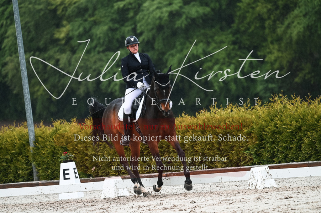 DSC_4545 | Pferde- und Turnierfotografie in Westsachsen. Pferdeportraits, Auftragszeichnungen und intuitive Kunst.