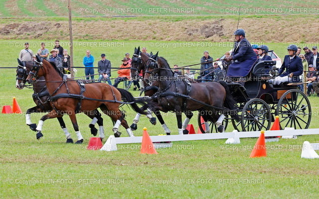 20230923-3065-gespannfahren-HEN-FOTO | 23.09.2023 Hessische Meisterschaften Kombinierte Prüfungen hier Hindernisfahren für Pferde Vierspänner Klasse S im Fahrsport international erfolgreicher Georg von Stein vom RFV Modautal 1928 e.V. (Foto: Peter Henrich) - Realisiert mit Pictrs.com