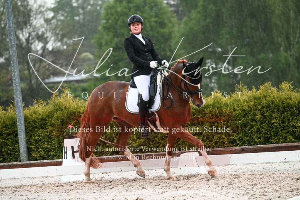 DSC_4625 | Pferde- und Turnierfotografie in Westsachsen. Pferdeportraits, Auftragszeichnungen und intuitive Kunst.