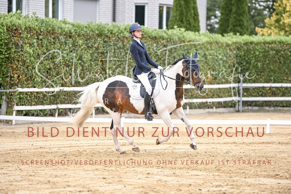 Schugtsche-Aluta25-42.EDressur -183 | Schugtsche Fotografie - Realisiert mit Pictrs.com