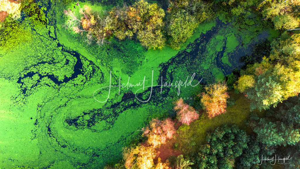 DJI_20241025165155_0057_D-HDR | default - Realisiert mit Pictrs.com