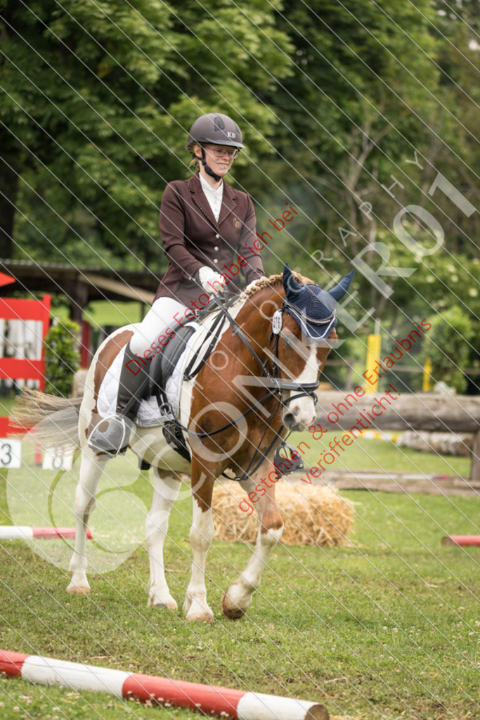 IMG_8348 | Sport-, Event- und Tierfotos in Profiqualität. Einfach auswählen, bestellen und herunterladen. Dein Moment – perfekt festgehalten.